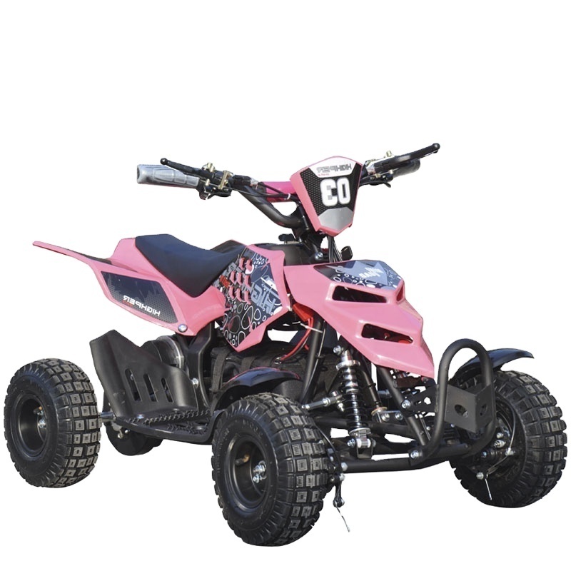 350W 500W 800W 36V 48 Mini Electric Quad, Electric 4 ATV for Kids (ATV-10E)