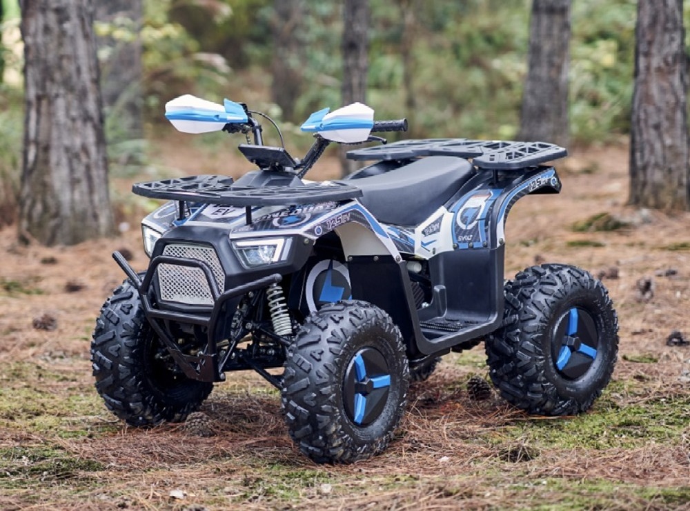 110cc 125cc Quad Bikes ATVs for Kids