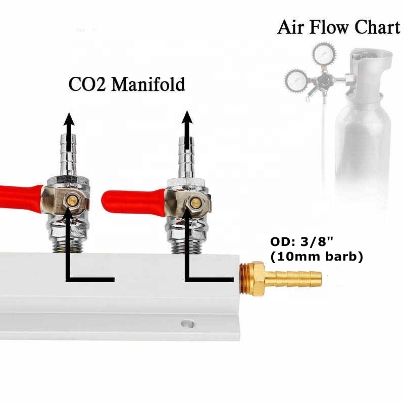 2-Way Splitter CO2 Beer Gas Manifold/Distributor 5/16 Barb Check Valve. Regulator CO2 Manifold