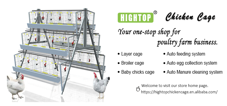 Hightop Design Modern Poultry Farm H Type Manual Poultry Metal Broiler Raising Chicken Cage With Manure Belt For 1000 Birds