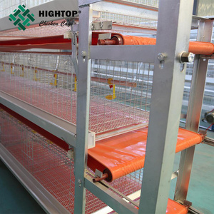 Poultry farm automatic equipment PP belt conveyor broiler manure removal machine system for cleaning chicken dung