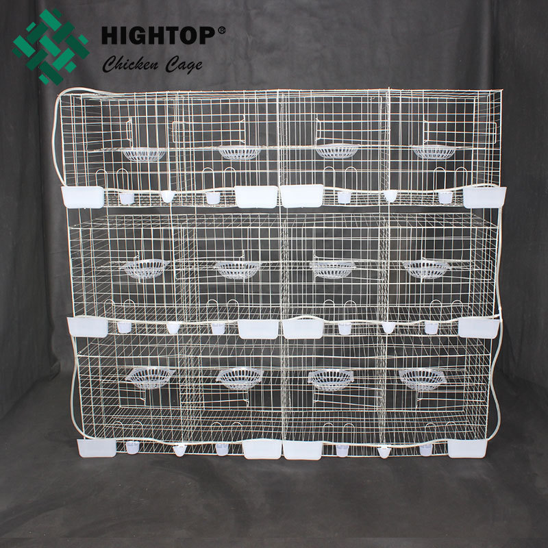 china factory top selling high quality wire breeding pigeon cage for sale