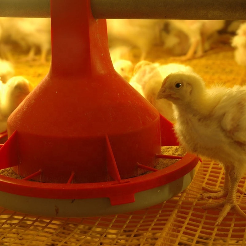 Hot-Dipping H Type Chicken Broiler Cages For Growing Broiler