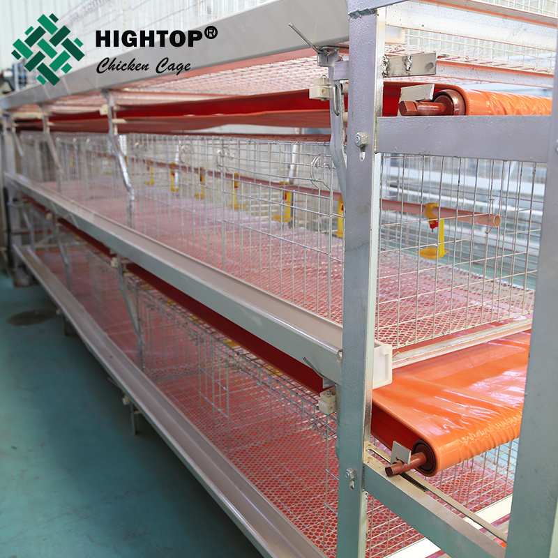 Wholesale Poultry H Type Battery Broiler Chicken Cages With Pp Belt End Manure Removal System