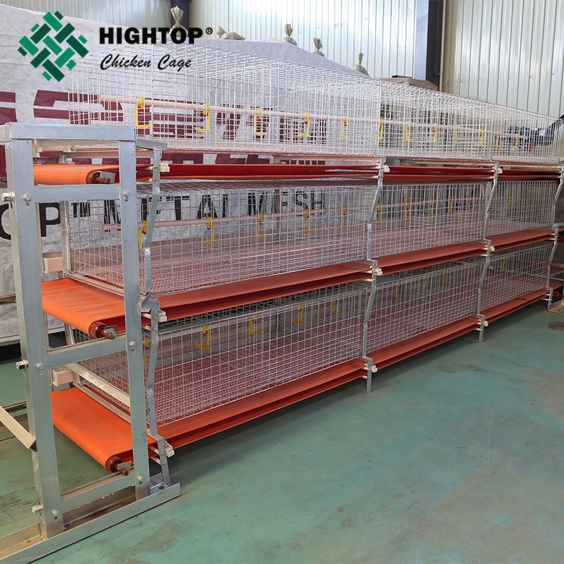 Wholesale Poultry H Type Battery Broiler Chicken Cages With Pp Belt End Manure Removal System