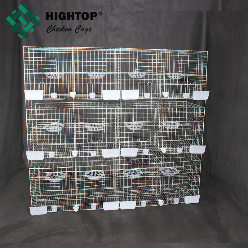 china factory top selling high quality wire breeding pigeon cage for sale