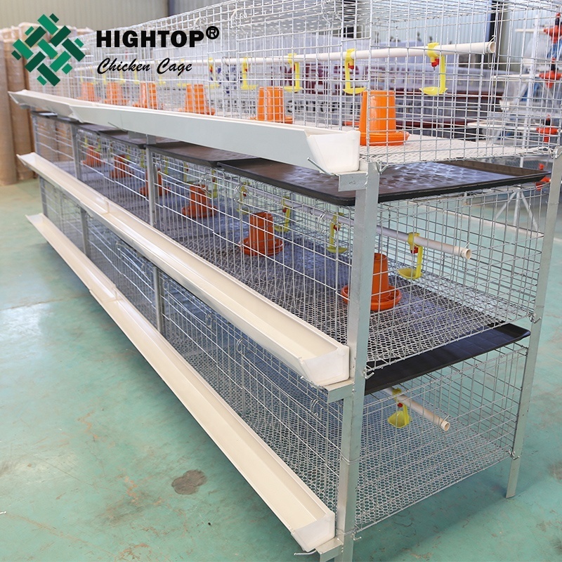 Hightop Design Modern Poultry Farm H Type Manual Poultry Metal Broiler Raising Chicken Cage With Manure Belt For 1000 Birds