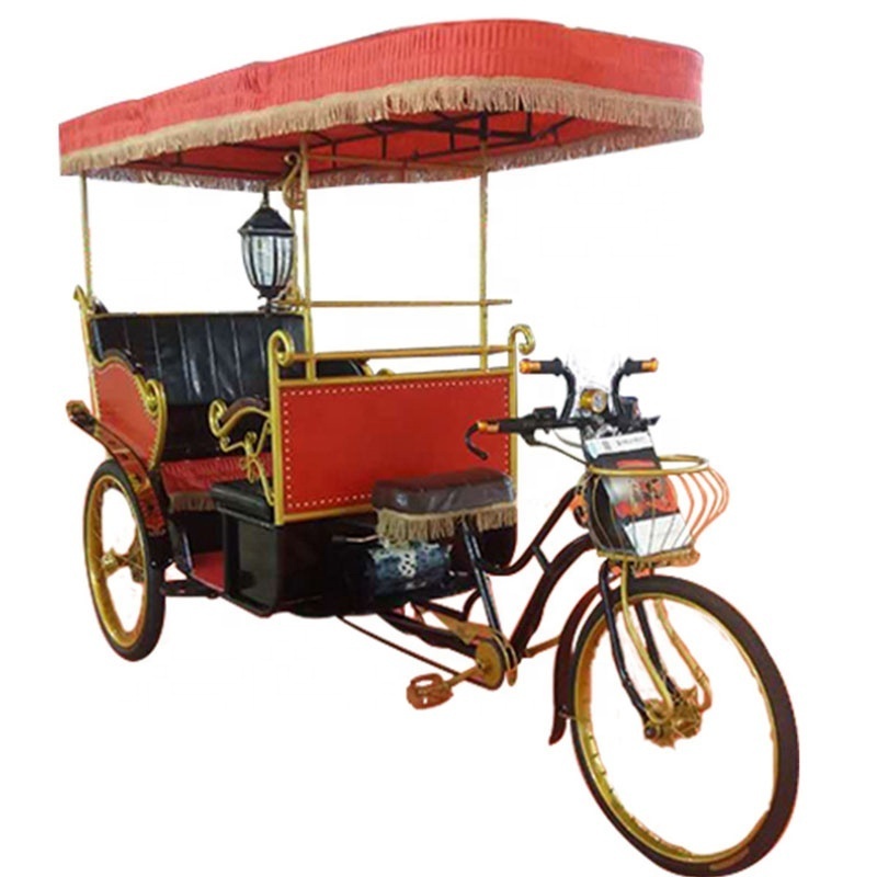 Tourist passenger electric pedicab rickshaw auto rickshaw price