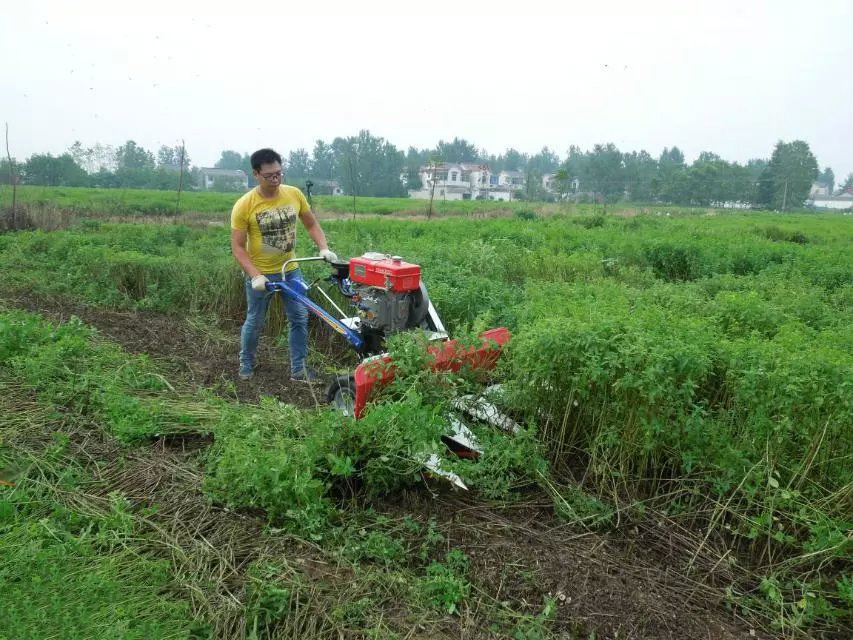 Cheapest Price Grain Reaper Wheat Reaper Mini Rice Paddy Cutting Machine