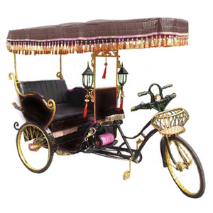 Tourist passenger electric pedicab rickshaw auto rickshaw for travel