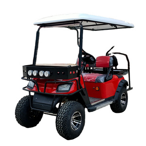 2024 hot sell China Cheap High Quality 4 Passengers 2x2 seater Tourist Car Electric Golf Cart