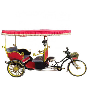 Tourist passenger electric pedicab rickshaw auto rickshaw price