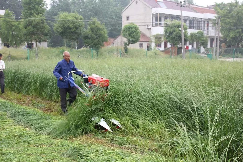 Farm Two Wheels Self Propelled Reaper Harvesting Machine Mini Paddy Reaper Binder Machine