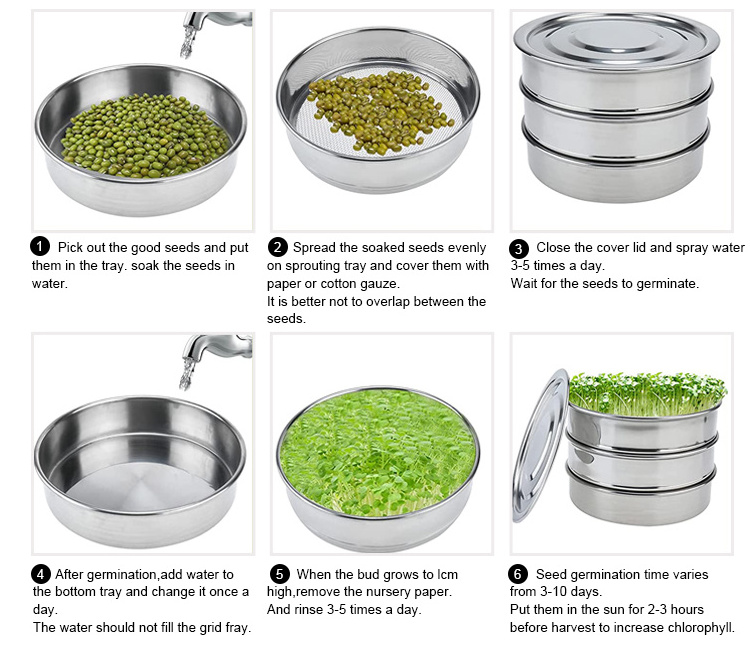 Wheat Grass Organic Sprouts Seeds Stainless Steel Seed Sprouting Tray Sprout Growing Kit