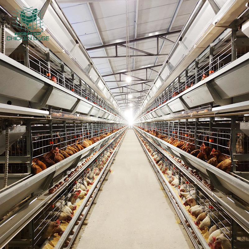 Cheap New Design H Type Automatic Layer Egg Battery Cages Chicken Raising Equipment Sale In Nigeria Farm