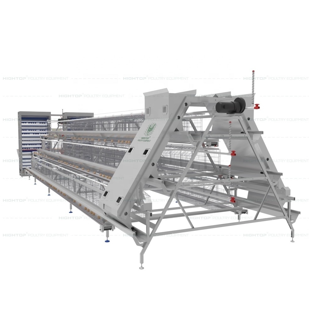 Poultry Equipment Chicken Cage Egg Layer Layer Automatic Chicken Battery Cage