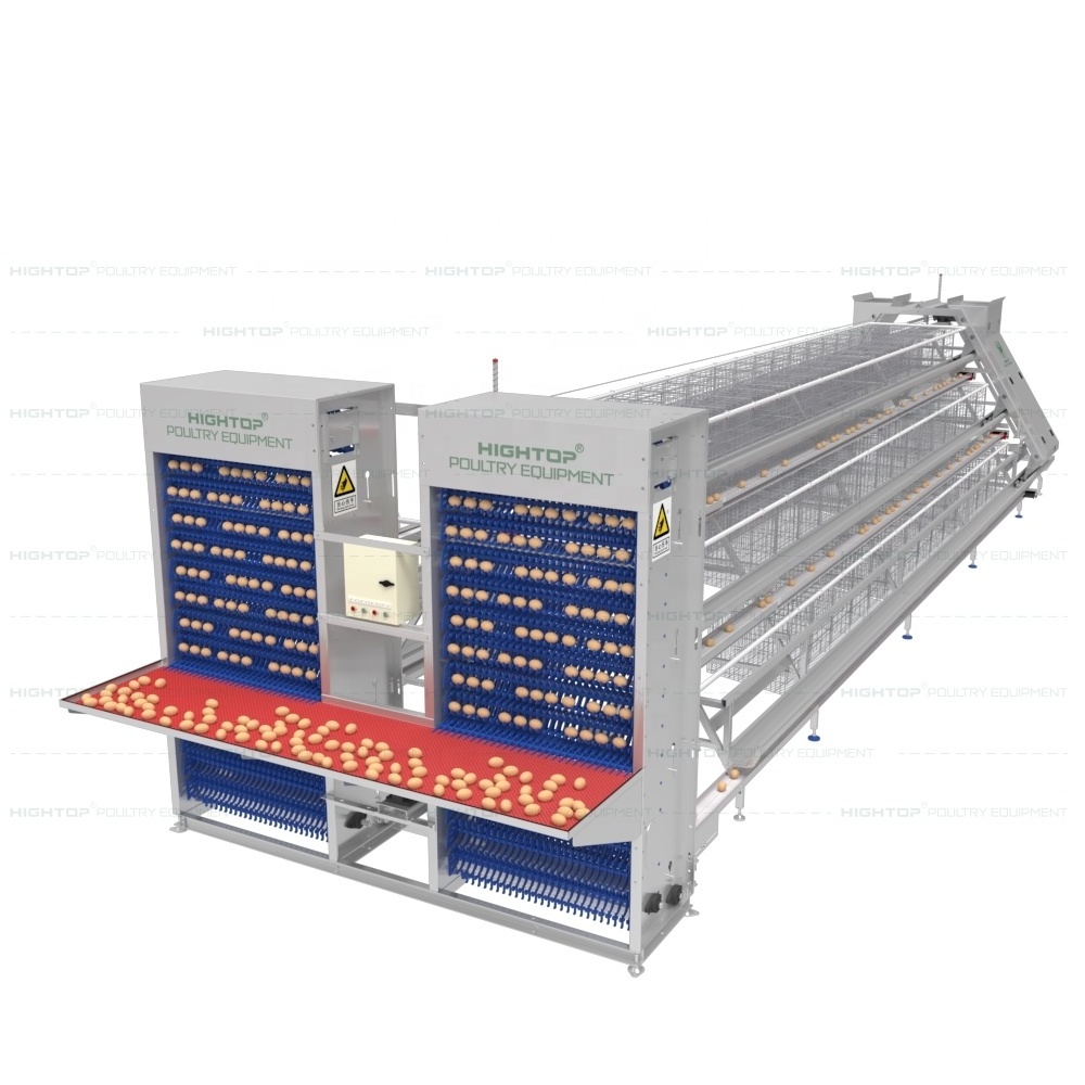 Automatic Chicken Cages Egg Layer Battery Cage Farming Equipment Egg Collection Disinfection System