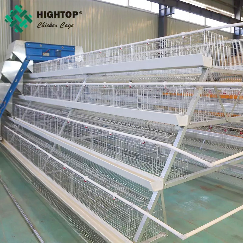 Hot Sale Poultry Farm Laying Hens Used Layer Chicken Cage