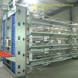 Philippines South African Commercial Poultry Full Automatic H Type 4 Tier 10000 Egg Layer Chicken Cage With Automatic Feeder