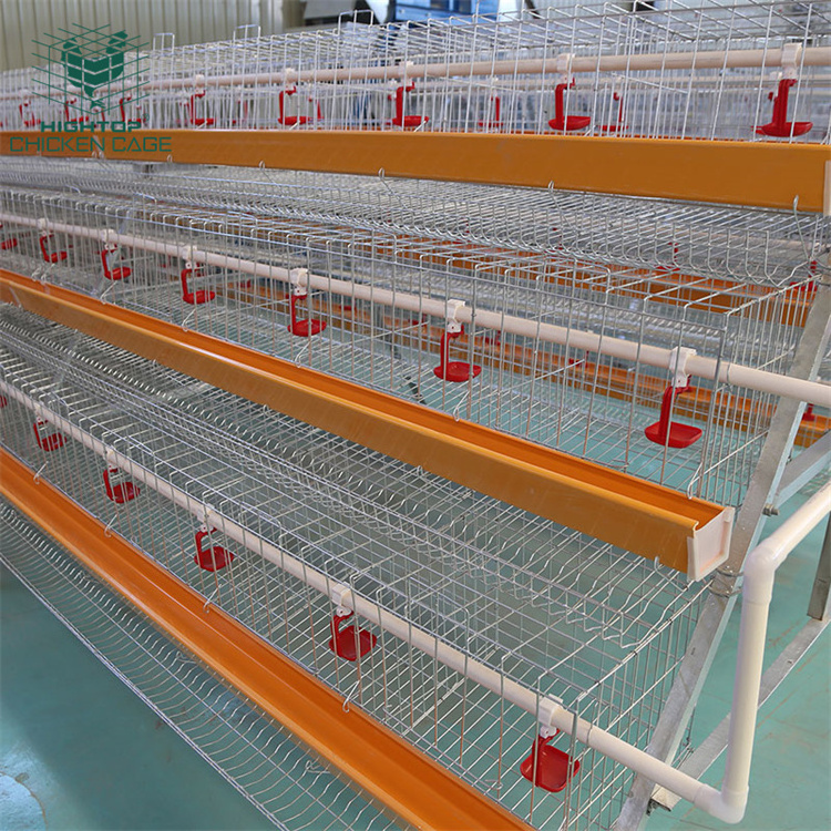 Philippines Large Scale Poultry Chicken House Coop Hot Dip Galvanized Metal 1000 5000 Hen Laying Egg Layer Chicken Cages