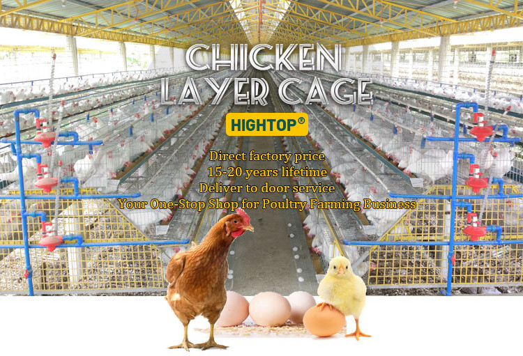 Hot Sale Poultry Farm Laying Hens Used Layer Chicken Cage