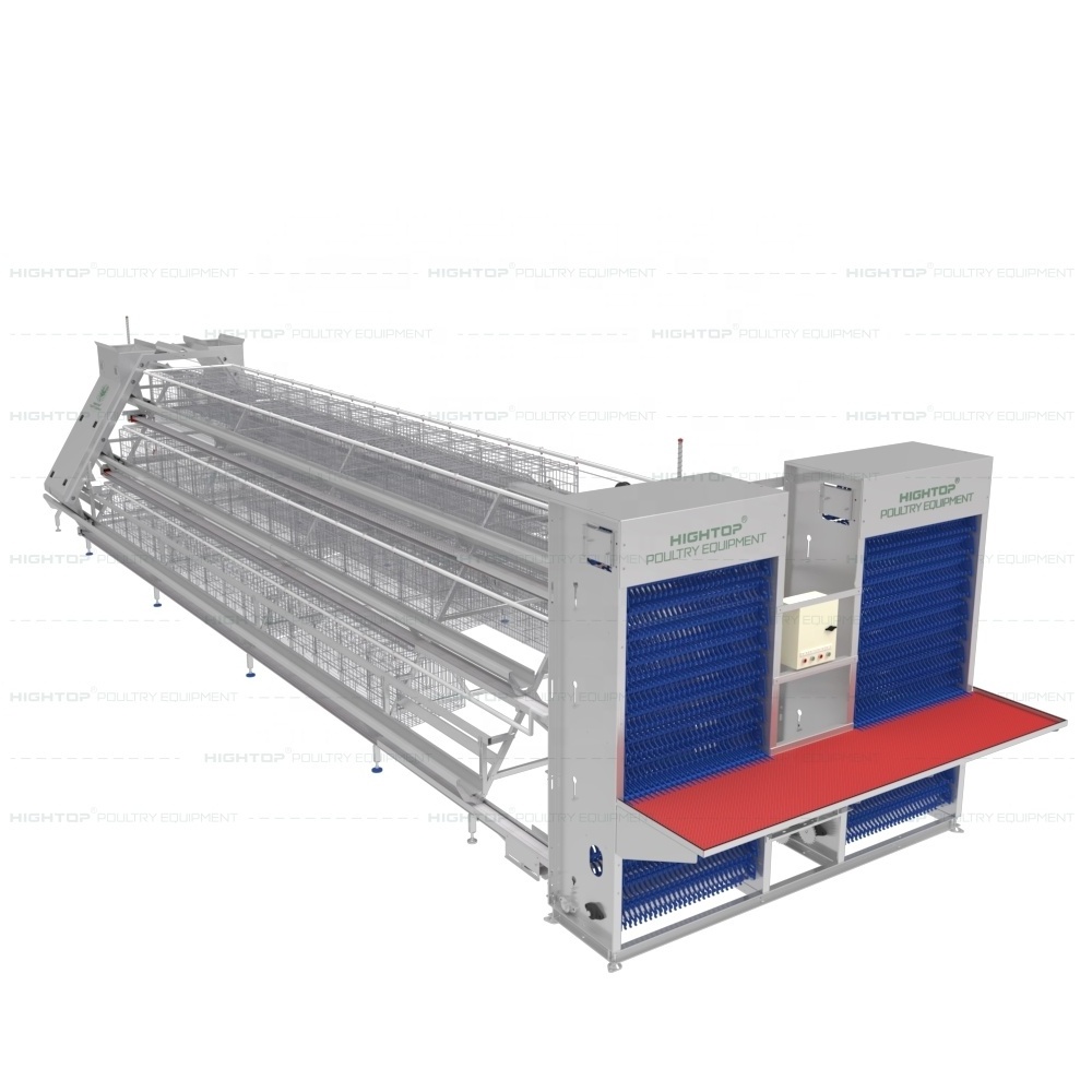 Chicken Cages Egg Layer Poultry Equipment Layer Chicken Cage Automatic Farming Equipment