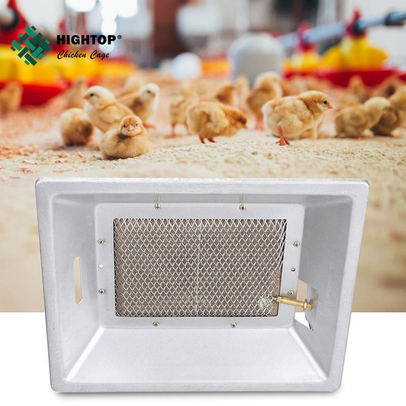 new products chicken house gas brooder/poultry farm gas automatic chicken electric heater brooder