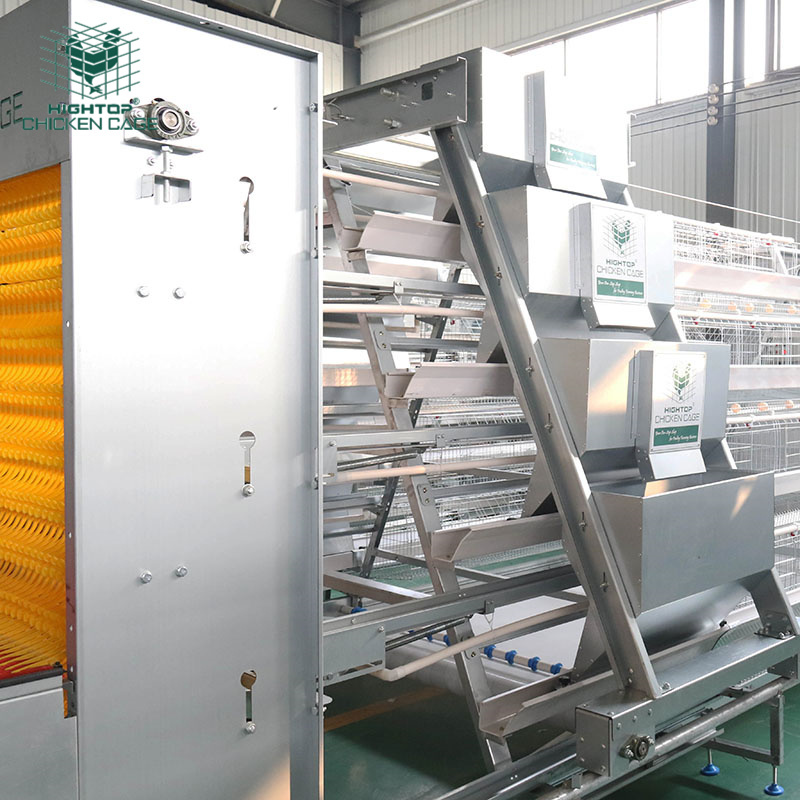 Poultry Farm Manure Transport Belt Conveyors For Chicken