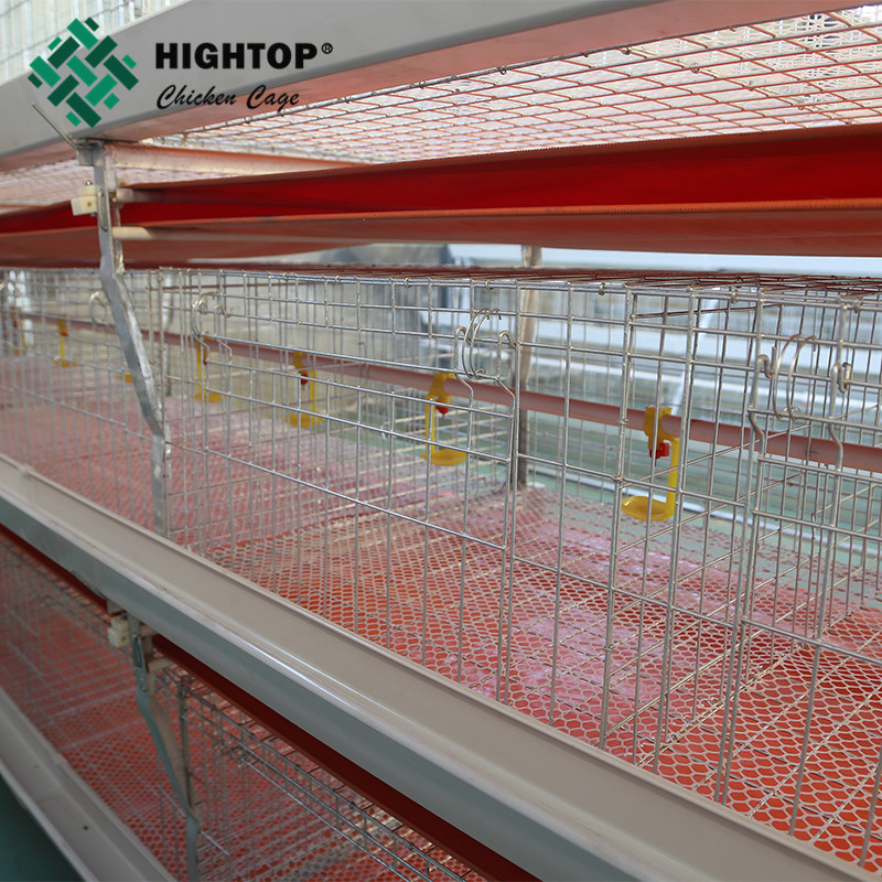 Philippines Zambia Commercial Poultry H Type Manual Meat Broiler Rearing Chicken Cage For 2000 10000 Birds With Conveyor Belt