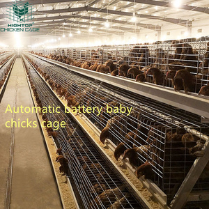 Hightop A Type Automatic Baby Chick Chicken Cage Brooder Cage Day Old Chick Battery Pullet Cage