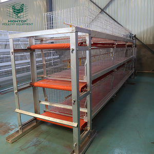 Philippines Zambia Commercial Poultry H Type Manual Meat Broiler Rearing Chicken Cage For 2000 10000 Birds With Conveyor Belt