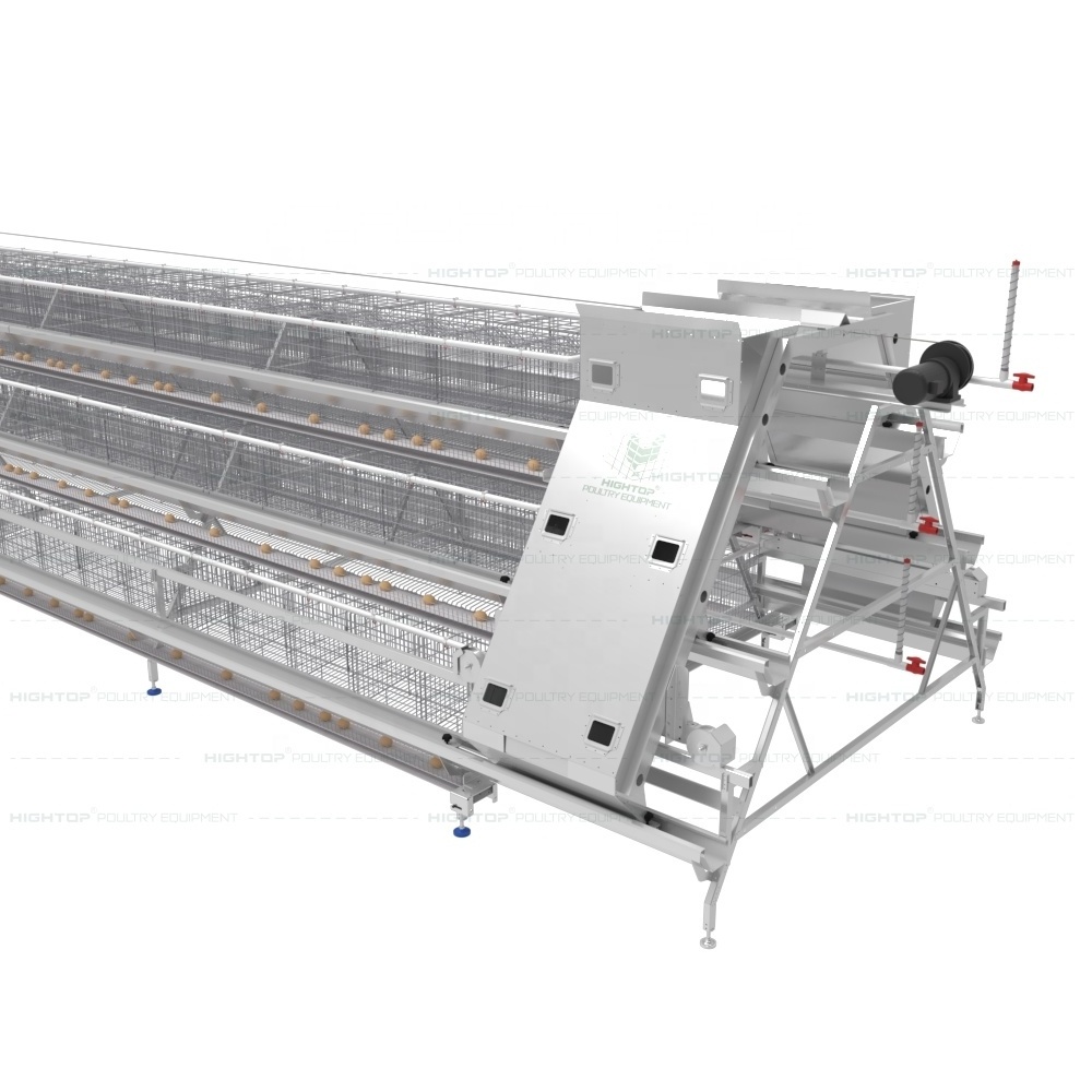 Automatic Chicken Cages Egg Layer Battery Cage Farming Equipment Egg Collection Disinfection System