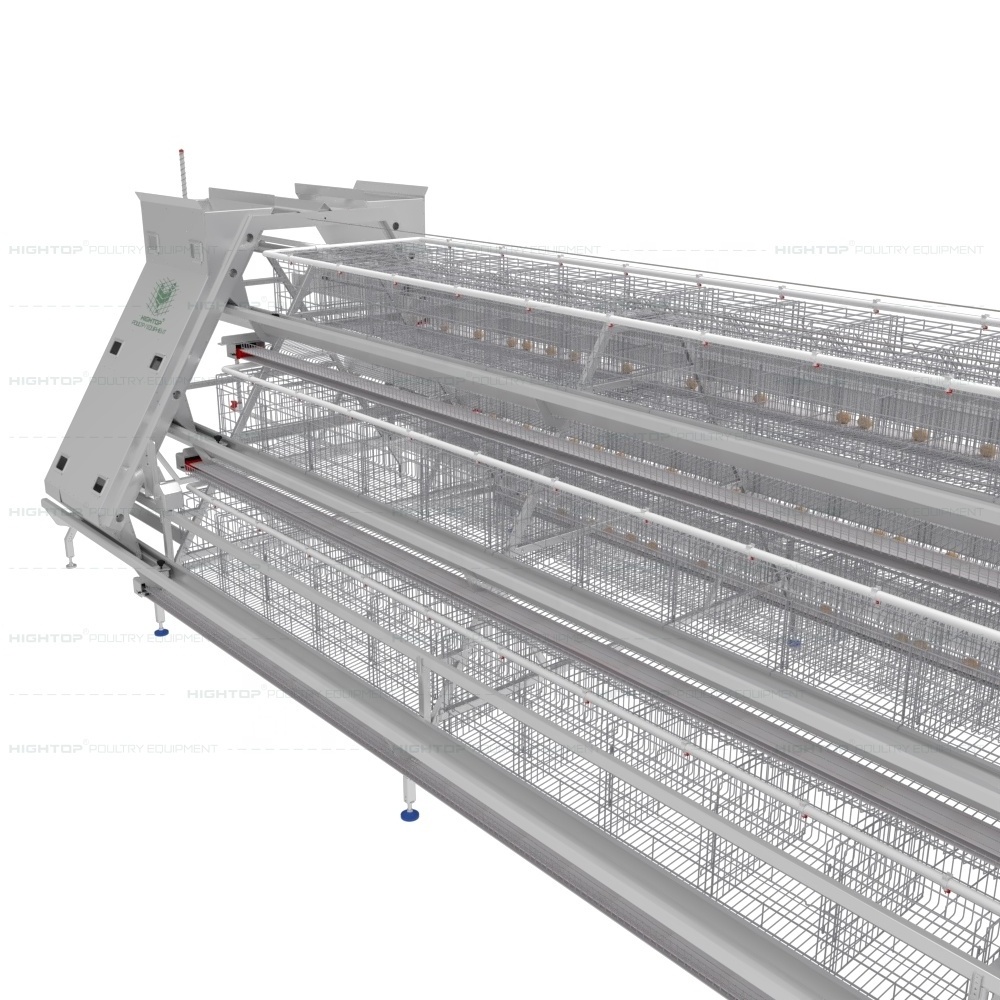 Automatic Chicken Cages Egg Layer Battery Cage Farming Equipment Egg Collection Disinfection System