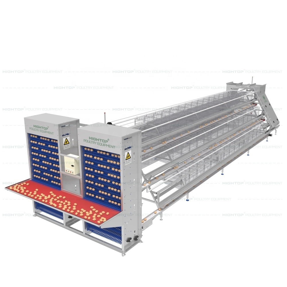 Chicken Cages Egg Layer Poultry Equipment Layer Chicken Cage Automatic Farming Equipment