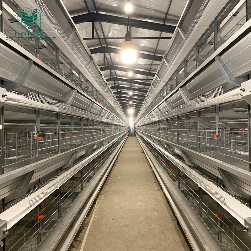 Cheap New Design H Type Automatic Layer Egg Battery Cages Chicken Raising Equipment Sale In Nigeria Farm