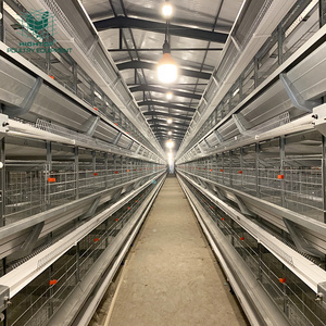 Cheap New Design H Type Automatic Layer Egg Battery Cages Chicken Raising Equipment Sale In Nigeria Farm