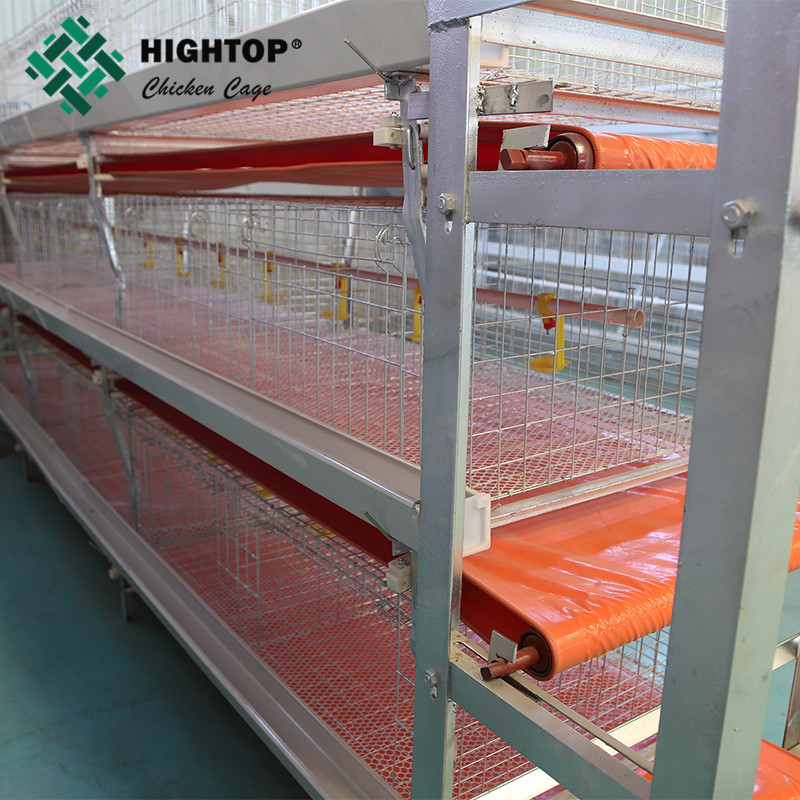 Philippines Zambia Commercial Poultry H Type Manual Meat Broiler Rearing Chicken Cage For 2000 10000 Birds With Conveyor Belt