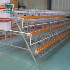 Philippines Large Scale Poultry Chicken House Coop Hot Dip Galvanized Metal 1000 5000 Hen Laying Egg Layer Chicken Cages