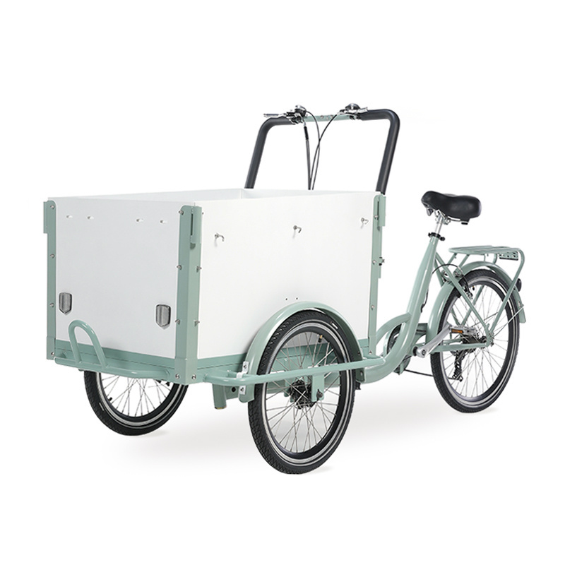 Special design for kids lowrider mini cargo bike from China factory