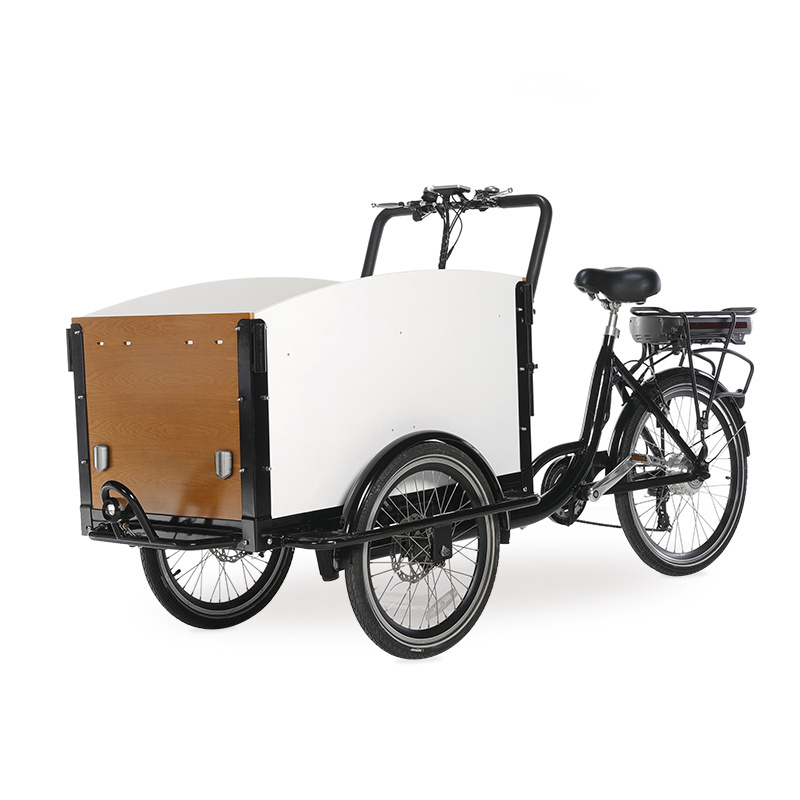 Retro electric tricycle family cargo bike 3 wheel electric bicycle mobile Cargo electric bike dog care cargobike  SLS-0006