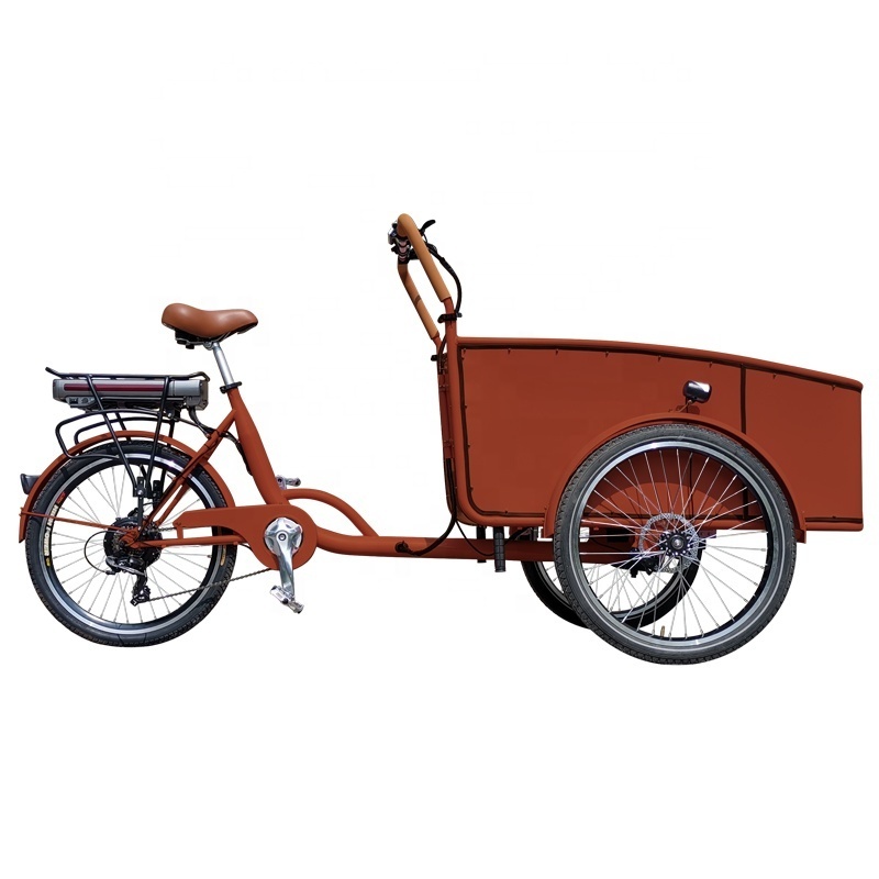 Front Loading UK Electric Cargo Bike Bicycle For Family Aluminum Alloy Box 36V 250W Van Cargo Tricycle With Hydraulic Disc Brake