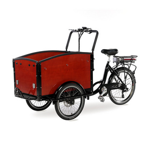 electric tricycle three wheels reverse trike adult electric bike on hot sale