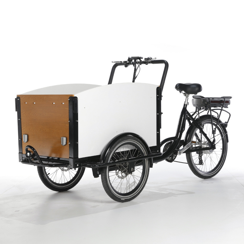 Retro electric tricycle family cargo bike 3 wheel electric bicycle mobile Cargo electric bike dog care cargobike  SLS-0006