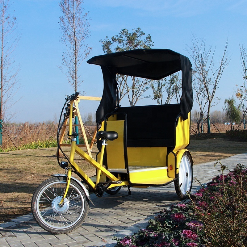 CE certified trike philippine electric pedicab rickshaw with pedal assist for factory direct sale