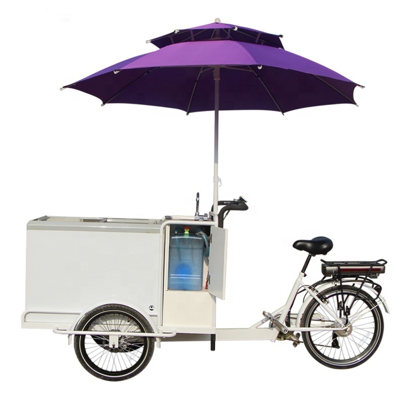 3 Wheel Electric Pedal Assist Vending Ice Cream Bike Freezer Tricycle