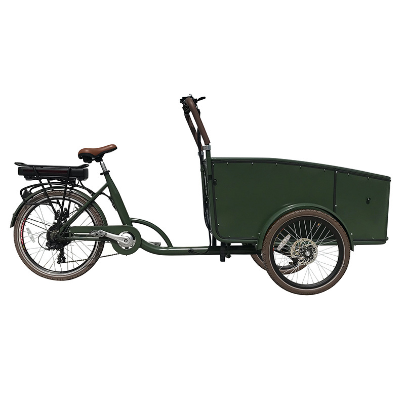 3 wheel green power electric delivery bicycle huge space cargo tricycle