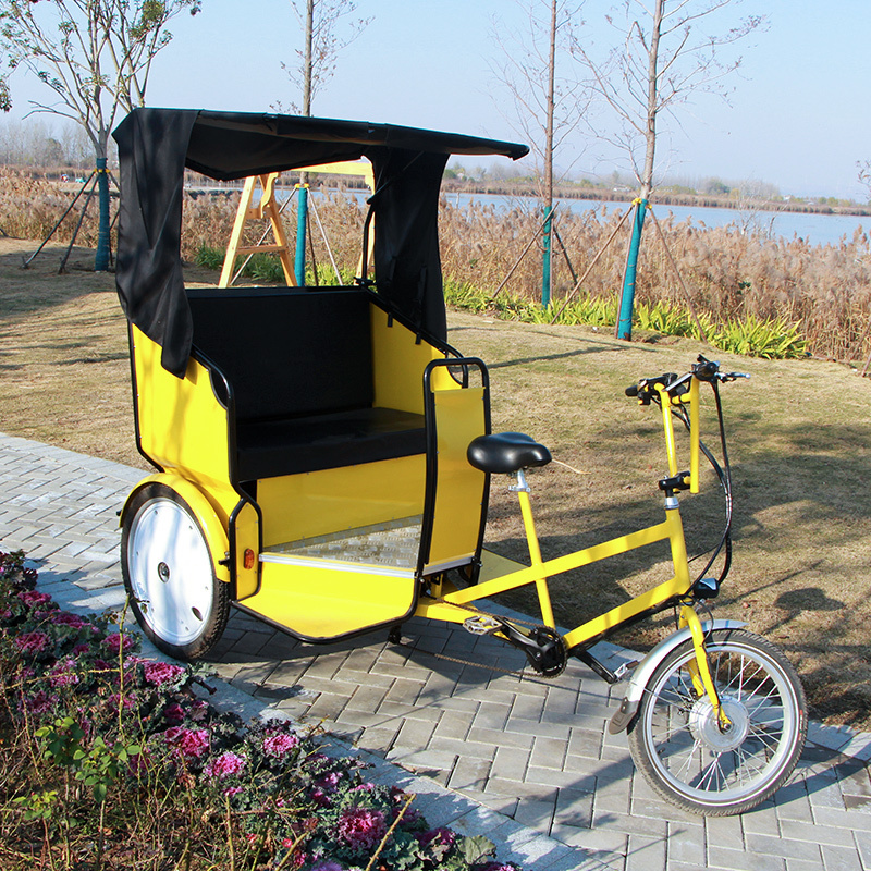 3 wheel closed body tricycle electric car for passengers