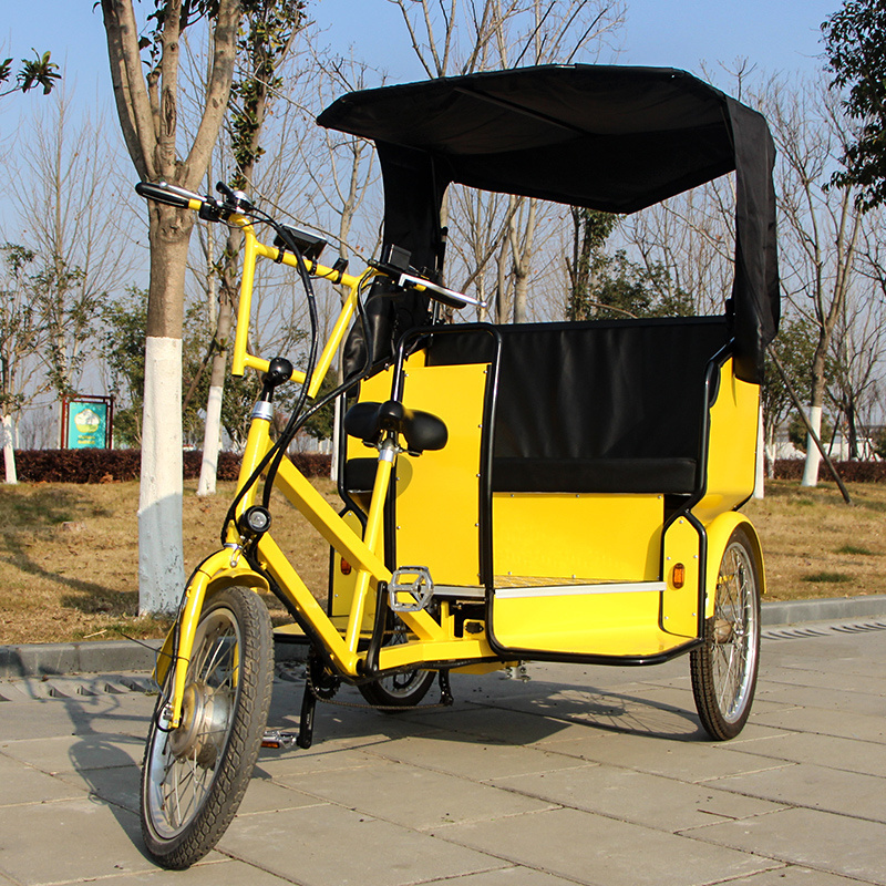 3 wheel closed body tricycle electric car for passengers