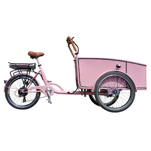 Powerful Factory direct supplier cargo bike electric energy with pedals assist