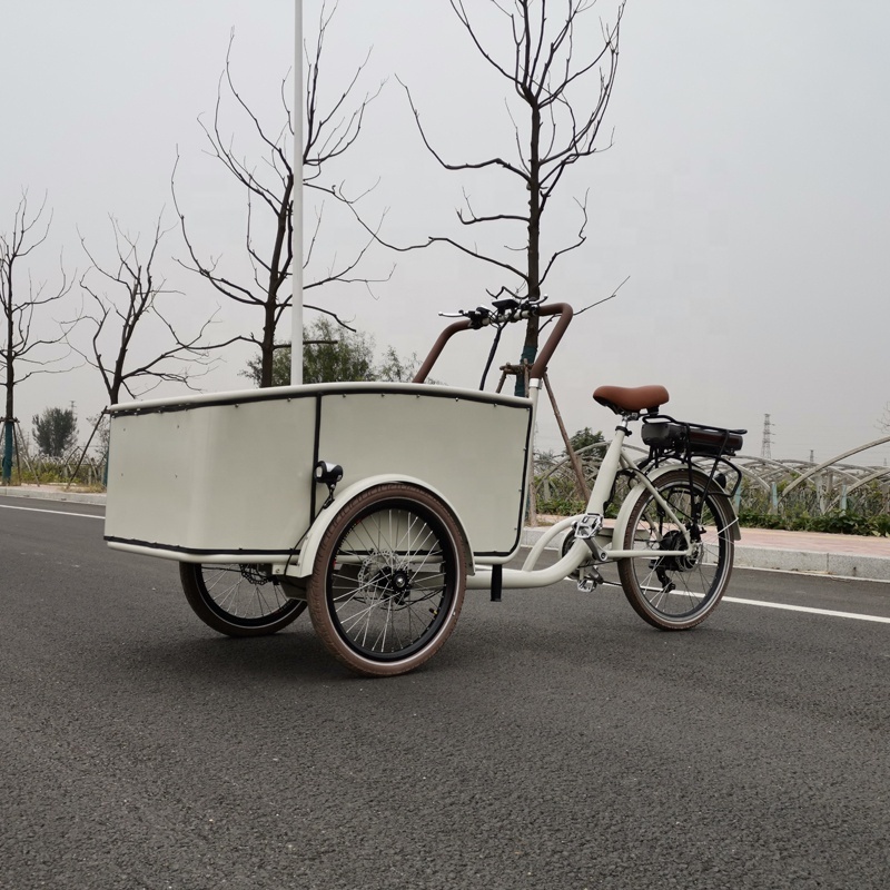 Powerful Factory direct supplier cargo bike electric energy with pedals assist